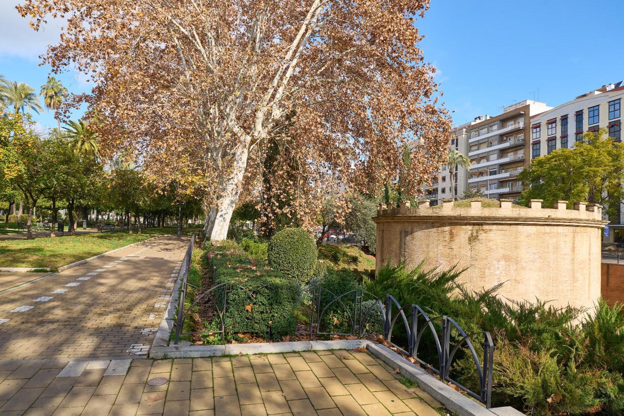 Apartment Centro *